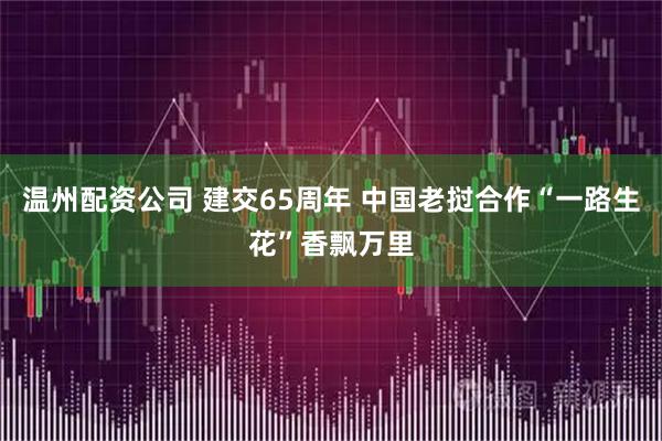 温州配资公司 建交65周年 中国老挝合作“一路生花”香飘万里